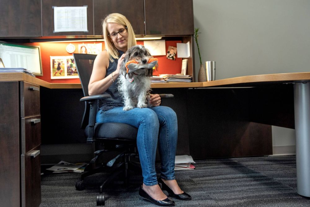 A blonde woman with glasses in an office with a dog on her lap