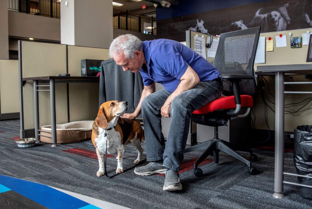 Man in an office petting a dog